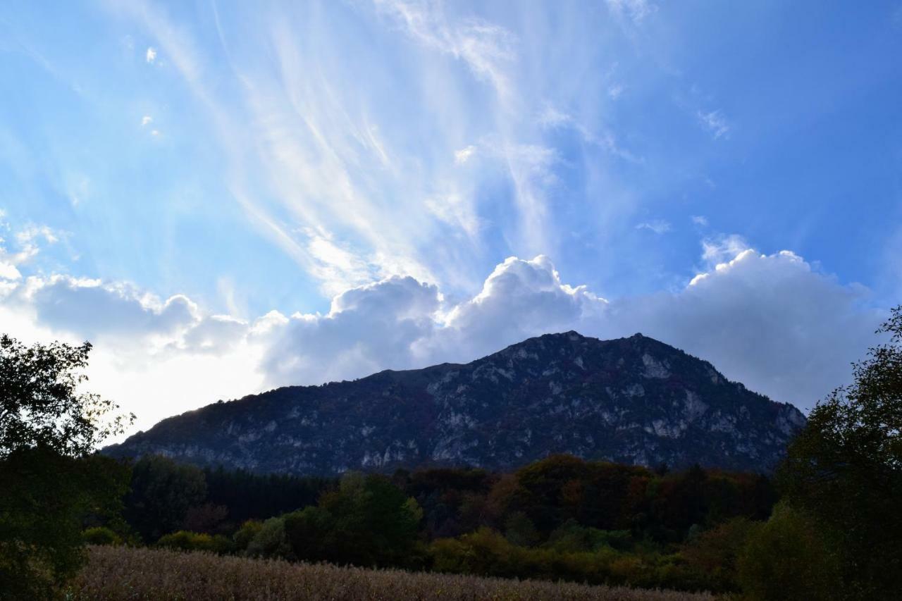 Dolomiti Apart Balbido-rango エクステリア 写真